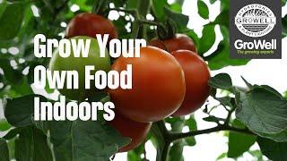 Grow Your Own Food Indoors | GroWell Hydroponics