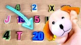 SPEED COUNTING!! A New Counting Game with Excite Dog.