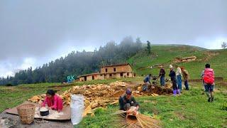 This is Himalayan Nepali village life || daily Activities people in Nepali Farming village lifestyl