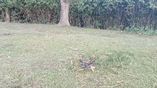 City Movement Vlog Dhaka. Dhaka।। Lakshmipur।। Banglasesh.
