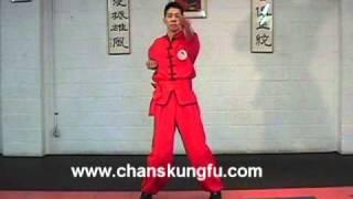 Wing Chun Biu Gee