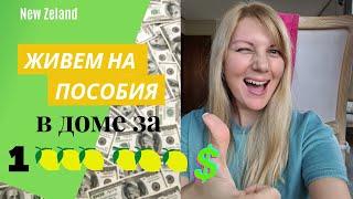 Пособия в Новой Зеландии. Дома на продажу в Окленде. Дом за 1 000 000 $. Сколько стоят дома в НЗ?