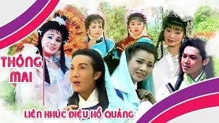 THÔNG MAI | Liên khúc điệu hồ quảng Vũ Linh, Phượng Mai, Tài Linh, Ngọc Huyền | Cải Lương Tôi Yêu