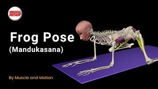 Master Frog Pose: Open Hips & Avoid Mistakes