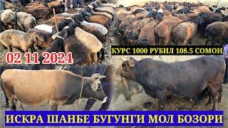 ИСКРА ШАНБЕ БУГУНГИ 02 11 2024 МОЛ БОЗОРИ КУРС 1000 РУБИЛ 108.5 СОМОН КУЙ ЭЧКИ КАТА МОЛ МАЕДА МОЛ