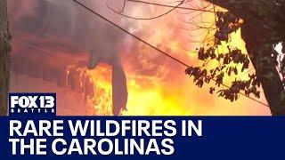 Wildfires ravage North Carolina, South Carolina