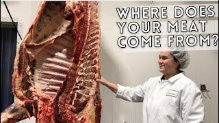 How to Butcher a Cow: Breaking Down a Beef Half w/ Schrader Farms Meat Market