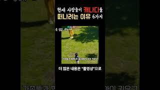 캐나다 망함? (이민 10년차의 고백) #캐나다 #캐나다일상
