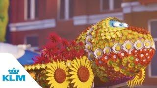 KLM - Bluey and the flower parade