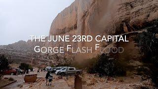 Our Capitol Gorge Flash Flood Rescue on June 23rd 2022