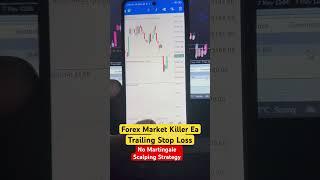 Forex Price Action Auto Trading Robot #scalpingtrading #aimaxproea #forexrobot