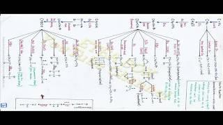 Organic Chemistry (All Reactions) Pdf || N-MDCAT MCQs BOX