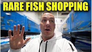 RARE AQUARIUM FISH SHOPPING!! The king of DIY visits predatory fins