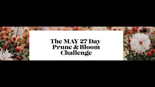 Introducing the May 2024 Prune & Bloom Challenge!