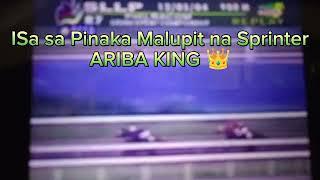 Isa sa Pinaka Malupit na Sprinter noon Panahon nya . ARIBA KING 