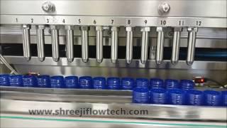 12x12 HEAD SERVO BASED PISTON FILLING MACHINE - Shreeji Flowtech Systems