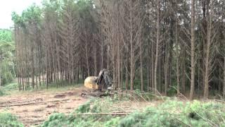 L870C feller buncher - Klabin, Santa Catarina