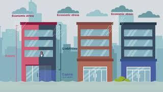 What is capital adequacy?