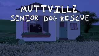 The short version: quick tips for alone time! Muttville Senior Dog Rescue