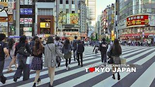 TOKYO JAPAN, Walk in Shinjuku and Yoyogi, Japan, Travel, 4K