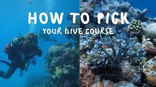 How Much does a Dive Course Cost? | Tips for New Scuba Divers