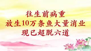 卢台长【节目录音】往生前病重，放生10万条鱼大量消业