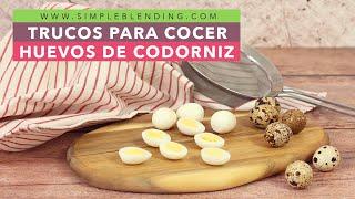 LOS MEJORES TRUCOS PARA COCER HUEVITOS DE CODORNIZ | Aprende a hervir los huevos de codorniz