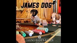 Crusoe: James Dog, at Casino Baden Baden in Germany