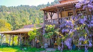 Köyde Yaşam: Pastoral Vadi Organik Tarım ve Ekolojik Yaşam Çiftliği, Fethiye