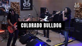 MR. BIG - COLORADO BULLDOG COVER BY AMBANG CHRIST BAND