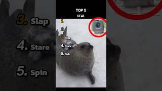 Top 5 Seals