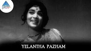 Yelantha Pazham Video Song | Panama Pasama Songs | Gemini Ganesan | Saroja Devi |Pyramid Glitz Music