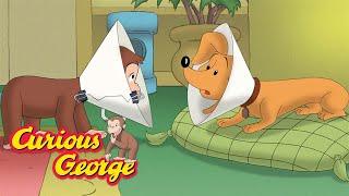 Curious George  George tries to help Hundley  Kids Cartoon  Kids Movies  Videos for Kids