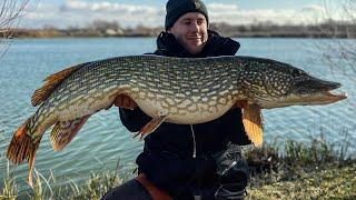 The Monster Pike before Christmas - Giant Pike