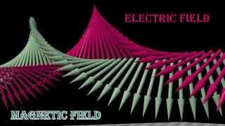 Polarization of Light: circularly polarized, linearly polarized, unpolarized light.