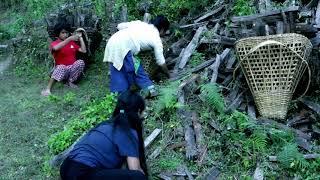 Carrying Firewood from the Jungle || Rural Nepal Quest ||