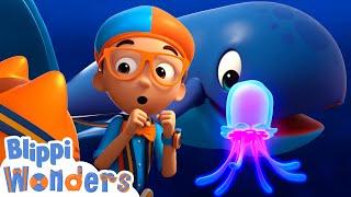 Blippi Wonders - Ocean Sea Creatures! | Blippi Animated Series | Cartoons For Kids