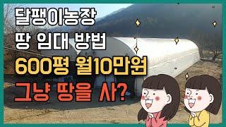 600평 땅이 월 10만원? 땅을 구하는 방법 -복동이네달팽이농장-