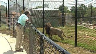 Alabama Gulf Coast Zoo still working during closure