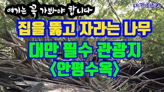 대만 타이난 여행 필수 관광지 두번째 이야기 안평수옥과 덕기양행