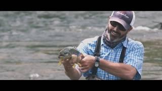 Mile High Angler Promo The Meadows