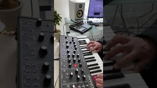 MOOG GRANDMOTHER DARK EDITION. SOUNDS MAGICAL