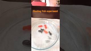 Floating Fish Experiment /Easy science experiments / fun experiments for kids kidseasylearning