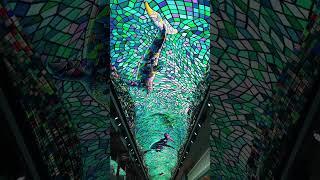 Curve Ceiling LED Display  #design #ceiling  #light