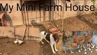 My Mini Farm House|Punjab| Village|My beautiful Farm 