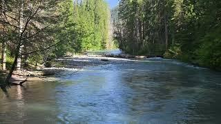 Part 3, ASMR Cascade Mountains Stream & Nature Sounds, Western Washington State, Nikon Z8 Camera.