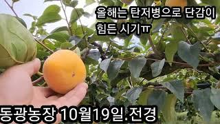 23년 10월19일.현재,,,