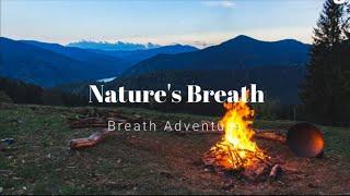 Language of Breath Guided Breathwork Journey | Nature's Breath