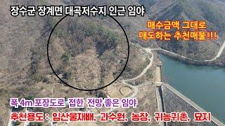 [매매가인하 1억] 전북 장수군 장계면, 해발 500m 대곡저수지 전망, 4m 도로 접한 임야. 매매가 대폭 인하 급매물. #장수장계대곡임야매매 #장수임야매매 #장계면임야매매