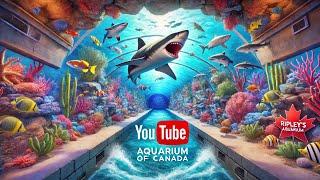 Visit to Ripley's Aquarium Canada | A Must-See Tourist Attraction in Toronto!